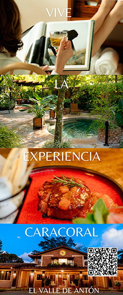 Hotel-Caracoral 250×600