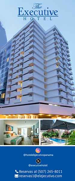 Hotel Ejecutivo 250×600