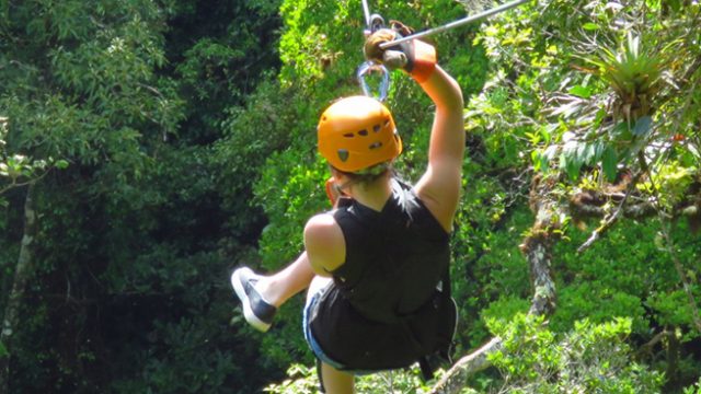 Canopy para todos