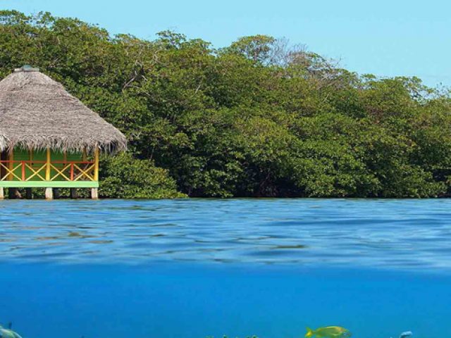 Bocas del Toro