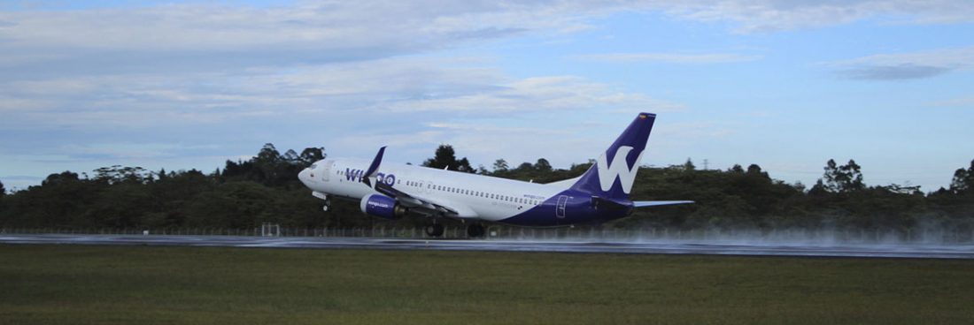 Nace Wingo Panamá, la primera aerolínea de ultra bajo costo del país