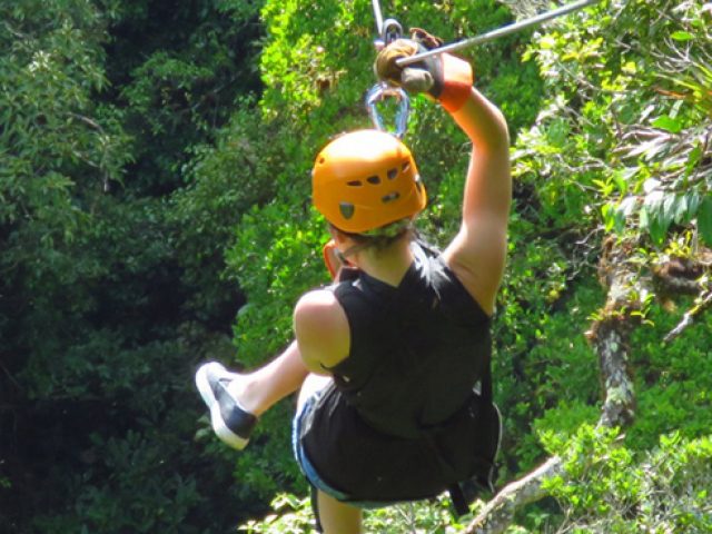 Canopy para todos