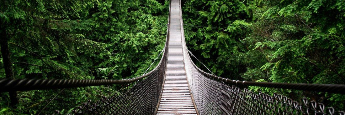 Panamá Rainforest