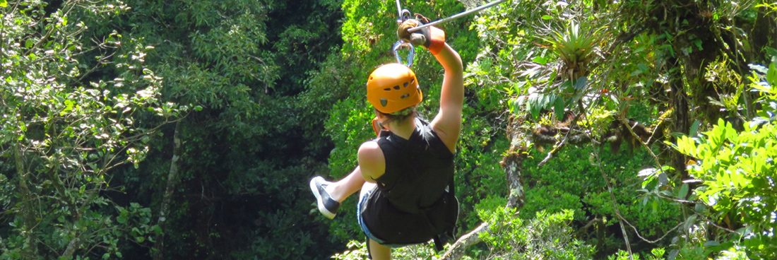 Canopy para todos