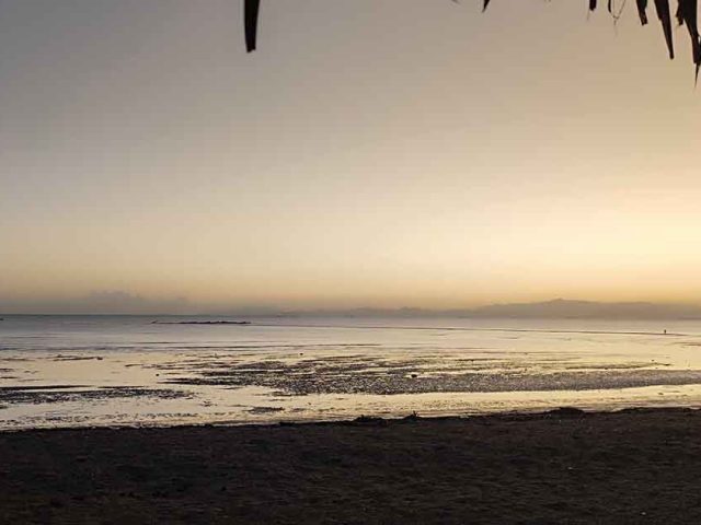 Los aliados que hacen posible Pasaporte Abierto 11: cuando el patrocinio se convierte en un gesto cultural