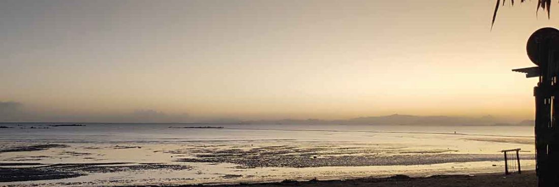 Los aliados que hacen posible Pasaporte Abierto 11: cuando el patrocinio se convierte en un gesto cultural