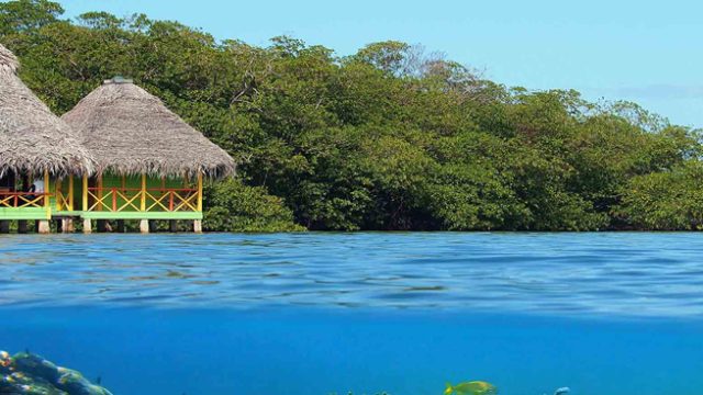 Bocas del Toro