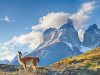 Chile